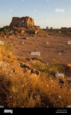 Le Début du Commerce de Sel à Mapungubwe: Une Innovation Sociale et une Pression sur les Ressources Naturelles